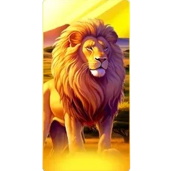 Lion
Safari